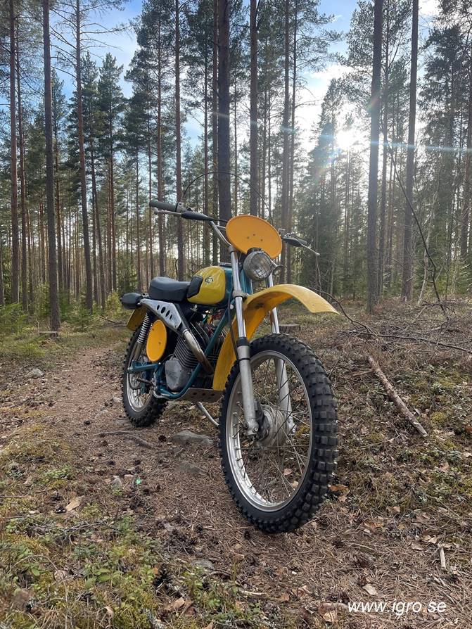 En bild som visar utomhus, trd, motorcykel, mark

Automatiskt genererad beskrivning